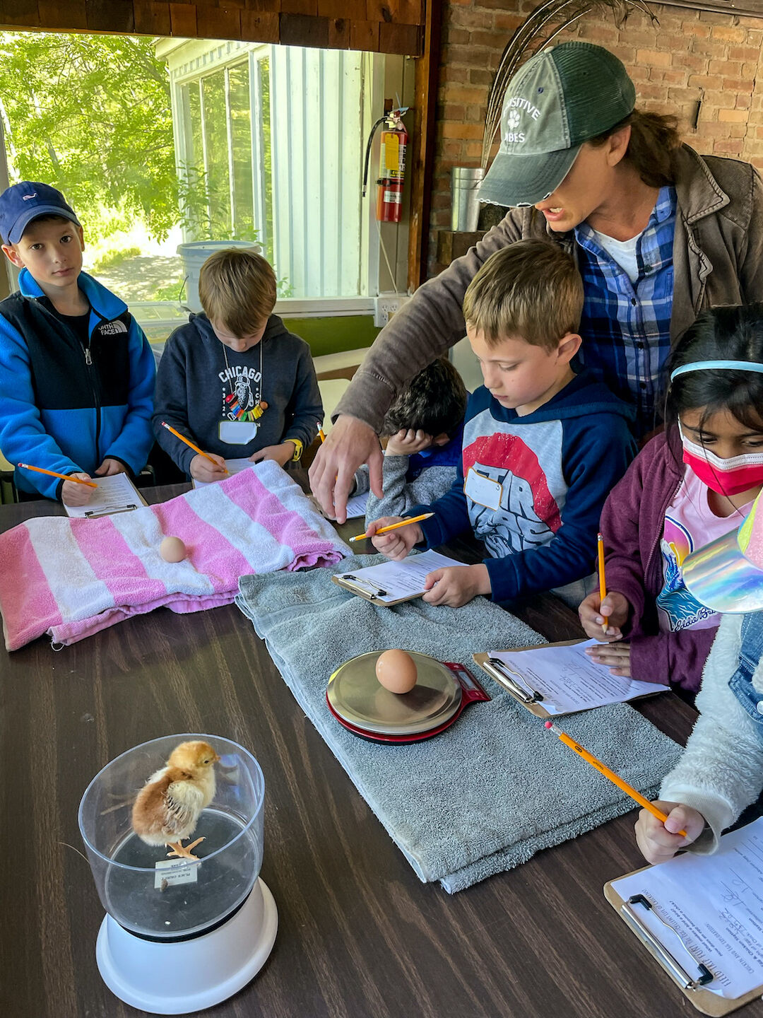 BowersSchoolFarm (1 of 9)